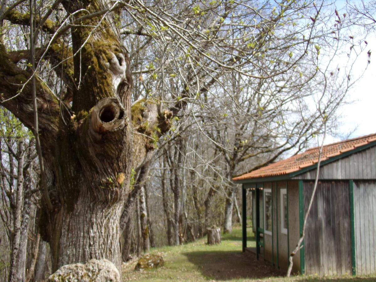 Le Balcon Des Raspes Hotel Saint-Victor-et-Melvieu Kültér fotó
