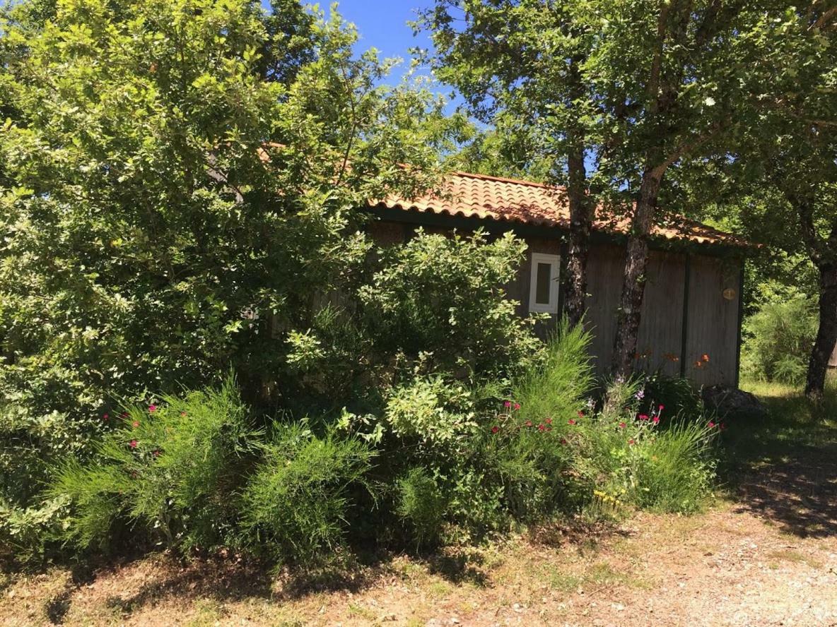 Le Balcon Des Raspes Hotel Saint-Victor-et-Melvieu Kültér fotó